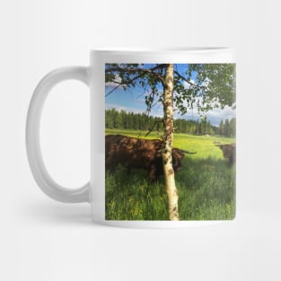 Scottish Highland Cattle Bulls 1771 Mug